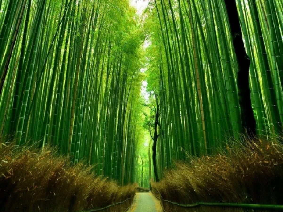 鴨川 栄の屋 Kamo River Machiya Halo House Kyoto Eksteriør billede